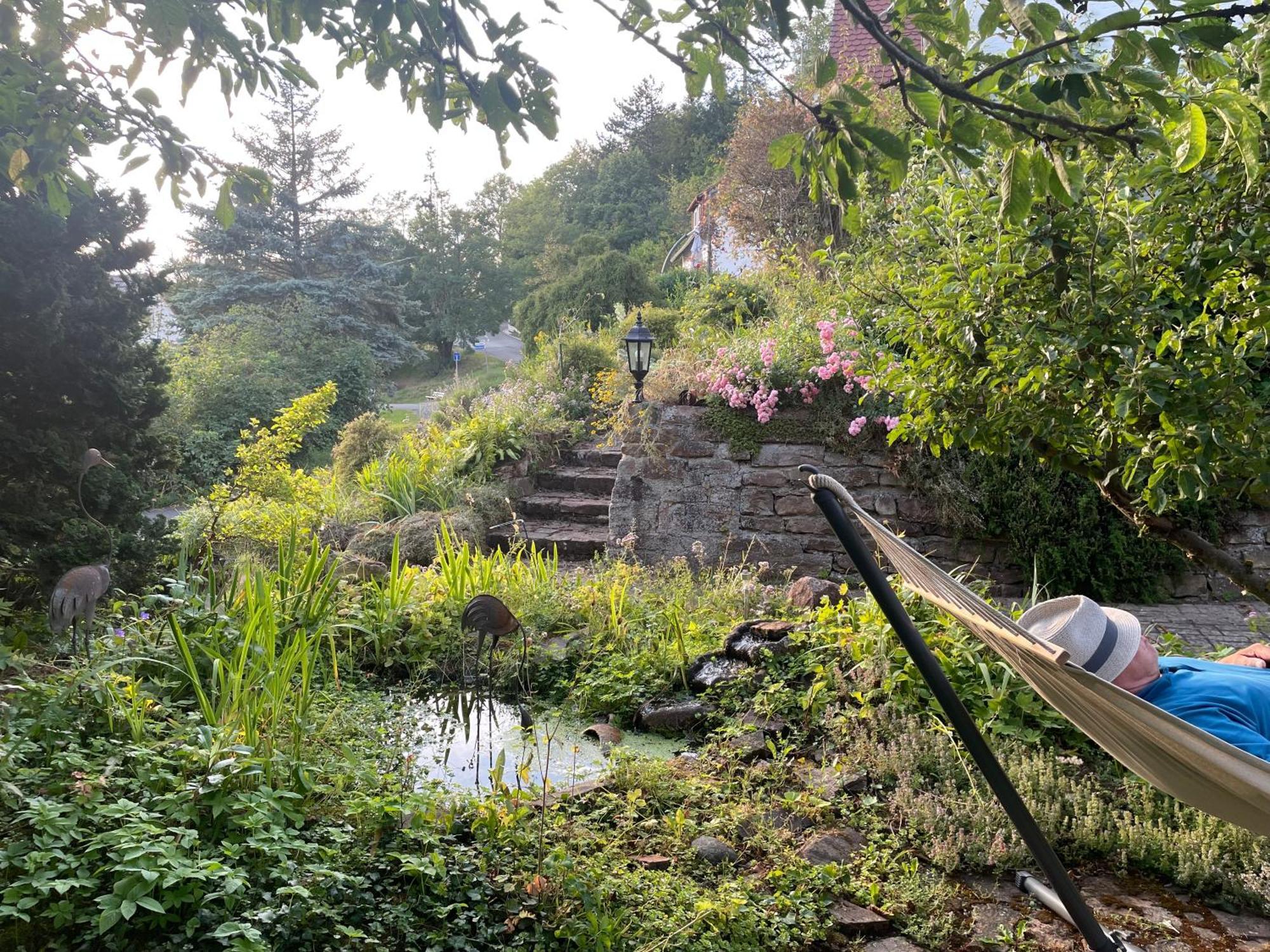Ferienwohnung Kellerwald ヴァルデック エクステリア 写真